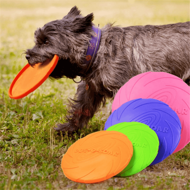 Dog Flying Discs & Ring Toys