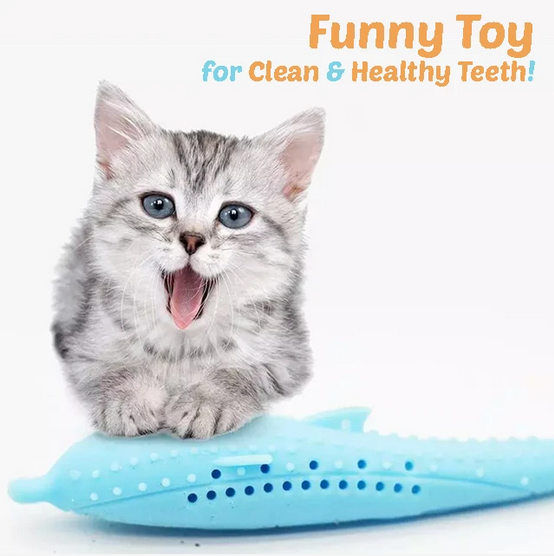 Cat Dental Toy
