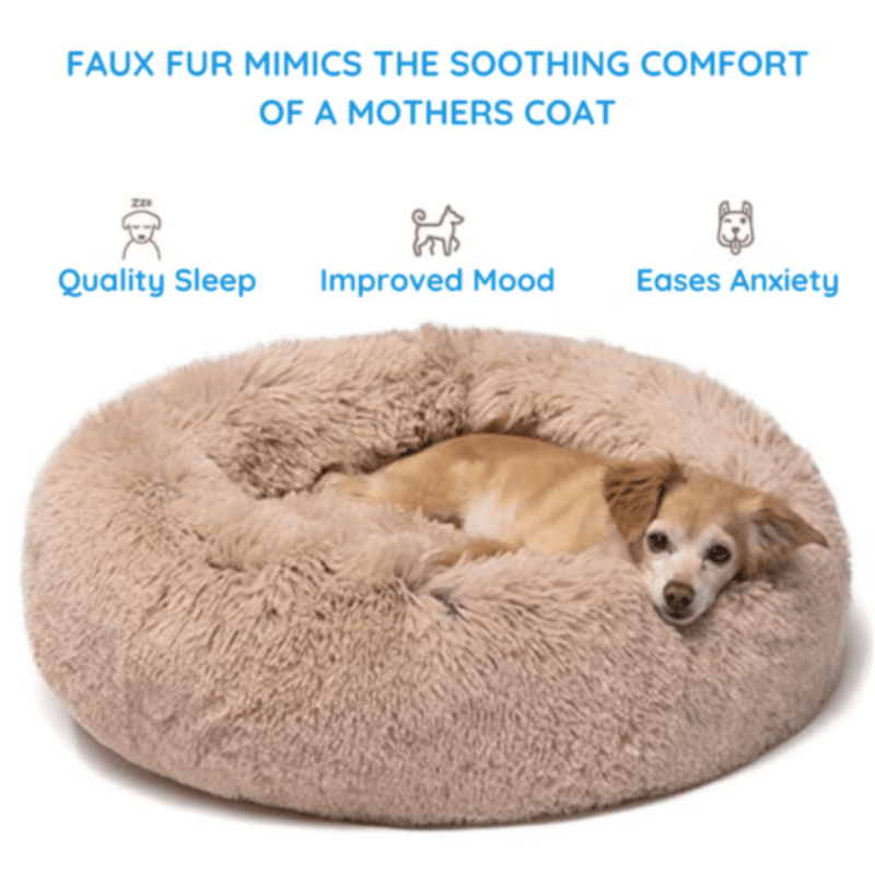 Soothing Dog Bed