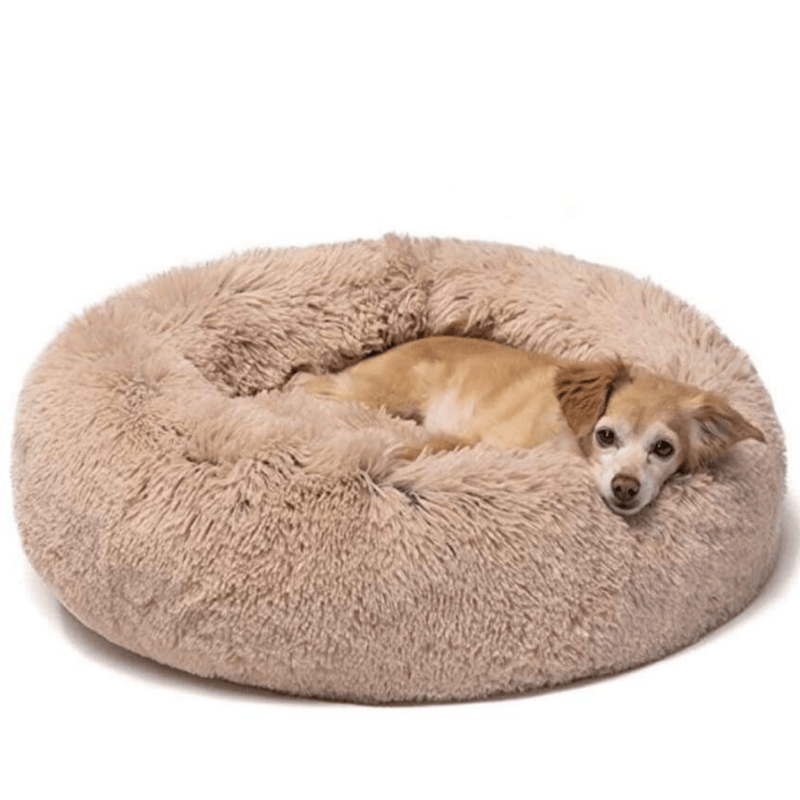 Soothing Dog Bed