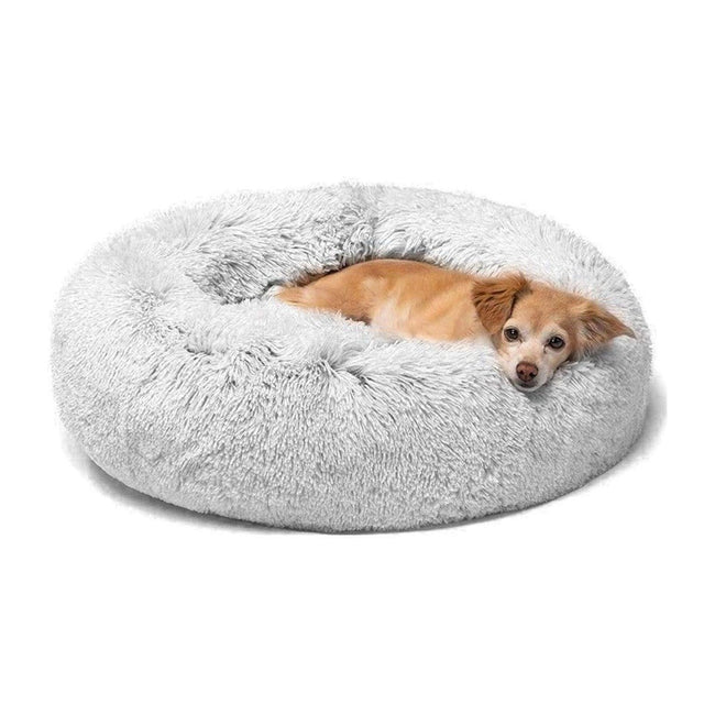 Soothing Dog Bed
