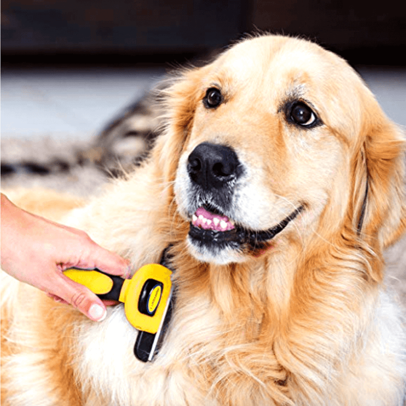 Pet Comb