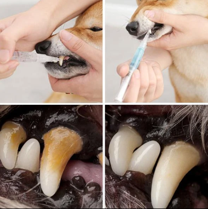 Dog Teeth Plaque Removing Pens