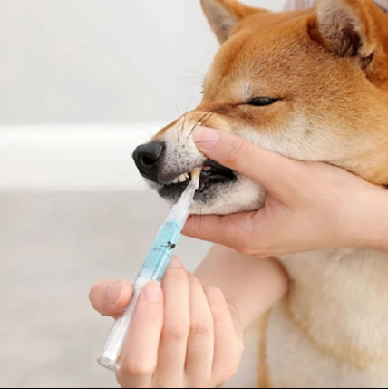 Dog Teeth Plaque Removing Pens