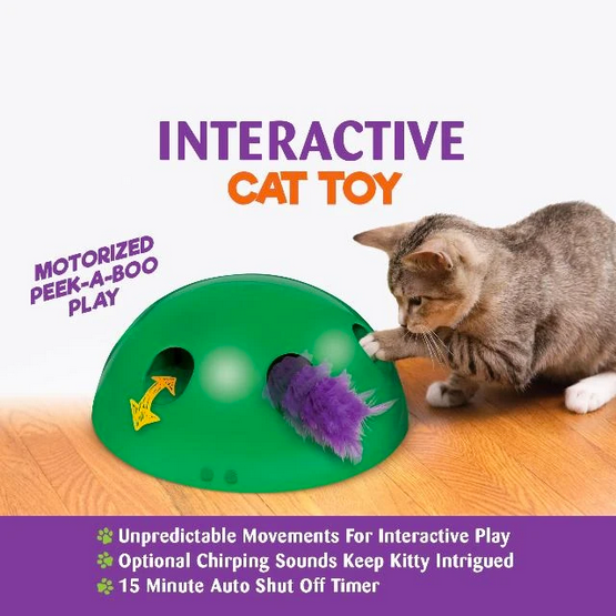 Peek-A-Boo Cat Toy