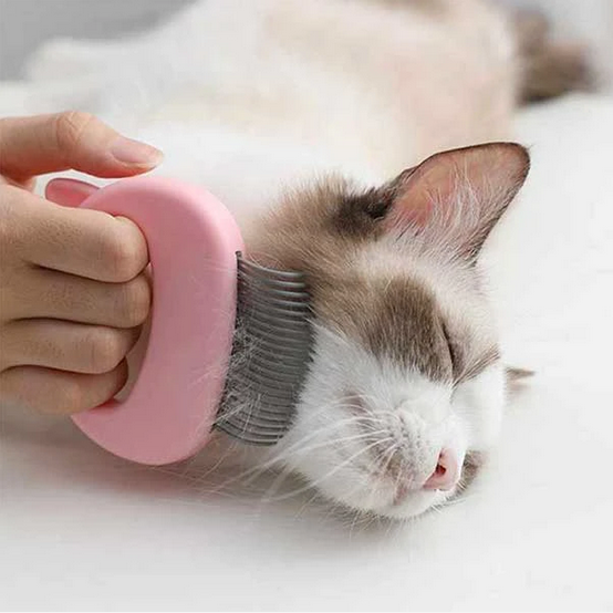 Pet massage-cleaning comb