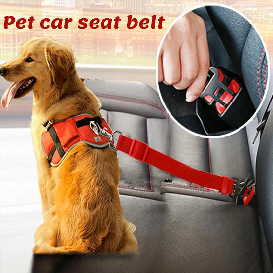 Dog's Car Seat Belt