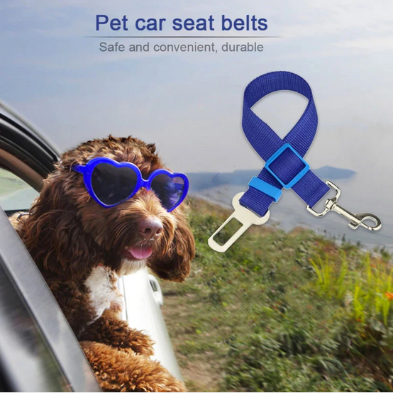 Dog's Car Seat Belt