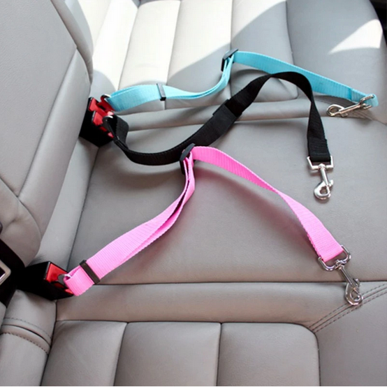 Dog's Car Seat Belt