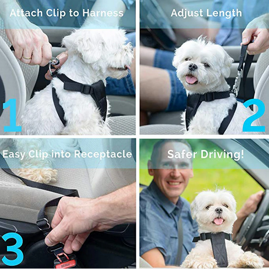 Dog's Car Seat Belt