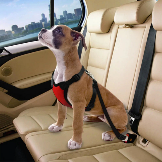 Dog's Car Seat Belt