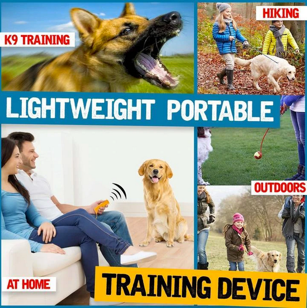 3-1 Dog Trainer Device