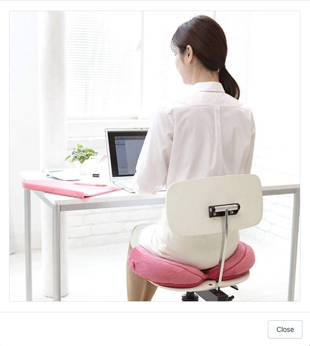 Ergonomic Hip Cushion Posture Corrector