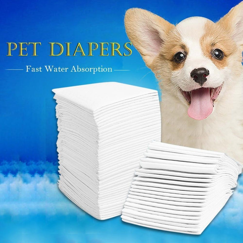 Dog Pet Suppliers